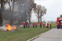 IMG_0035x