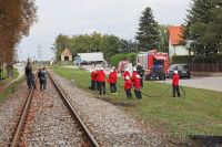 IMG_0088x