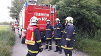 IMG-20170601-WA0057
