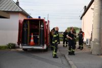 DSC_6838_-_Kopie