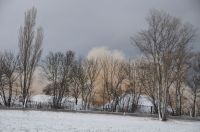 IMG-20230121-WA0019