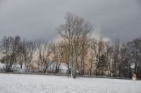IMG-20230121-WA0036