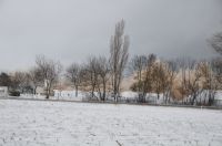 IMG-20230121-WA0055
